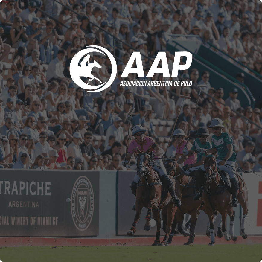 Imagen de Asociacion argentina de polo